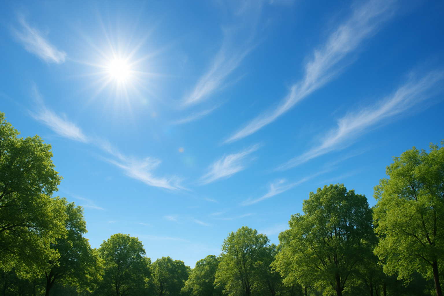 Blauer Sommerhimmel mit weißen Wölkchen, fotografiert aus einem Park